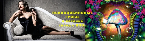 наркотики Приозерск