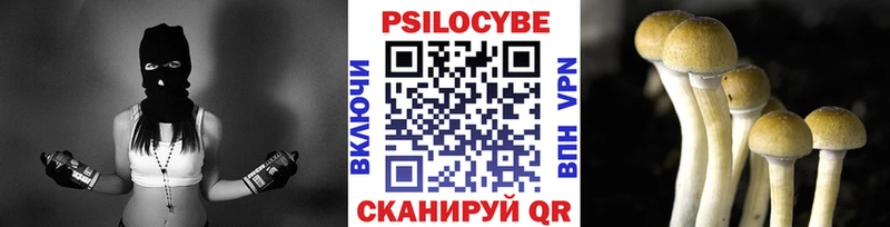 площадка наркотические препараты  Серафимович  Галлюциногенные грибы Psilocybe 